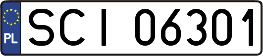 SCI06301