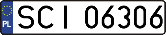 SCI06306
