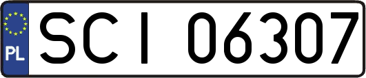 SCI06307