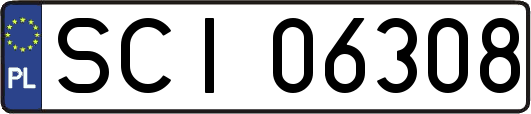 SCI06308
