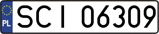 SCI06309