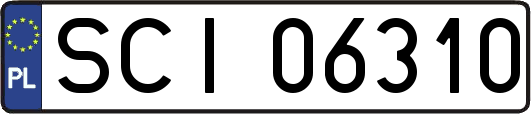 SCI06310