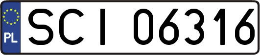 SCI06316