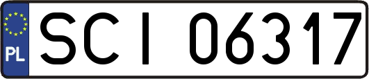 SCI06317