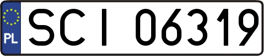 SCI06319