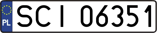 SCI06351