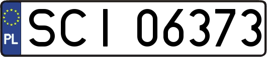 SCI06373