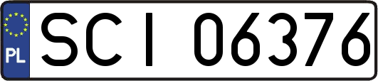 SCI06376