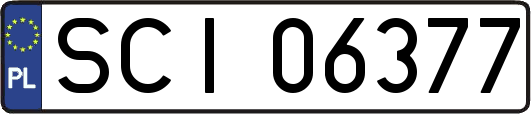 SCI06377