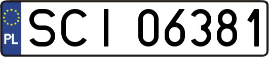 SCI06381