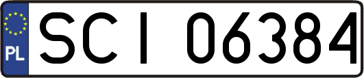 SCI06384