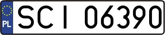 SCI06390