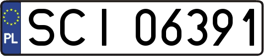 SCI06391