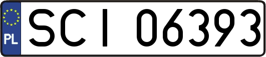 SCI06393