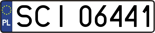 SCI06441