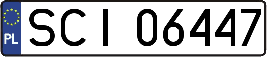 SCI06447