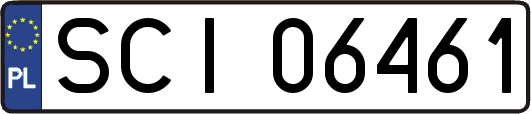 SCI06461