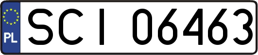 SCI06463