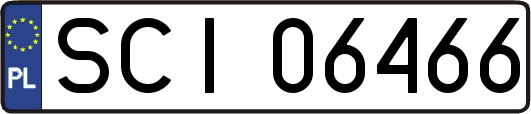 SCI06466