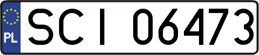 SCI06473