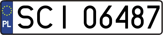 SCI06487