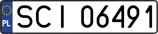 SCI06491