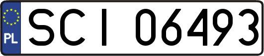 SCI06493
