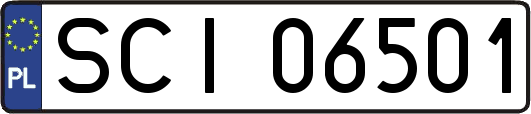SCI06501