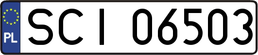 SCI06503