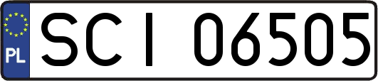 SCI06505