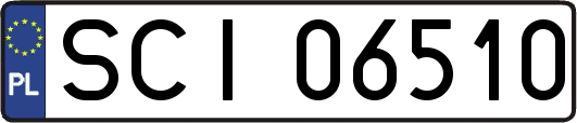 SCI06510