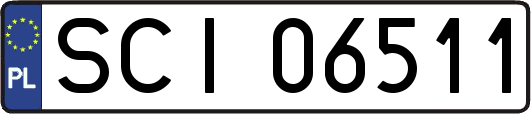 SCI06511