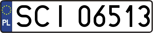 SCI06513