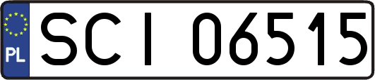 SCI06515
