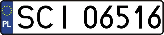 SCI06516