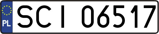 SCI06517