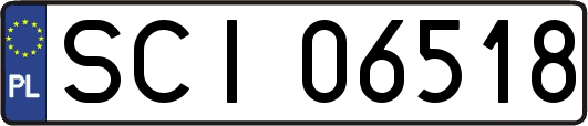 SCI06518