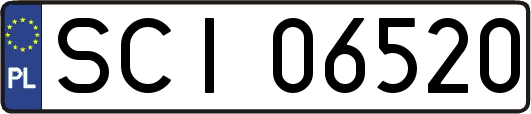 SCI06520