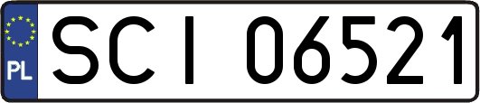 SCI06521