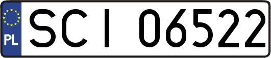 SCI06522