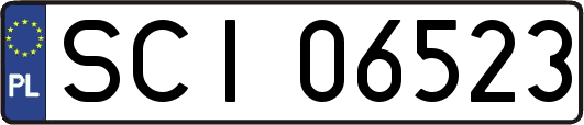 SCI06523