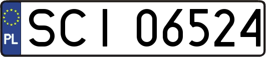 SCI06524
