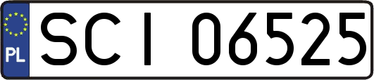 SCI06525