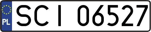 SCI06527