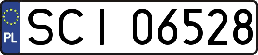 SCI06528