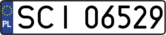 SCI06529