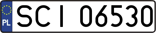 SCI06530