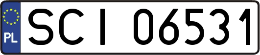 SCI06531