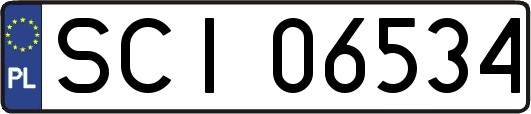 SCI06534