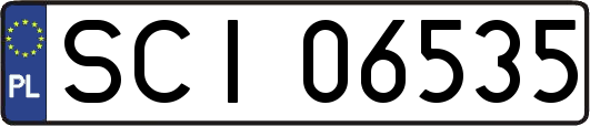 SCI06535